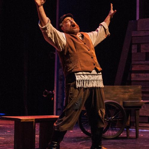 Fiddler